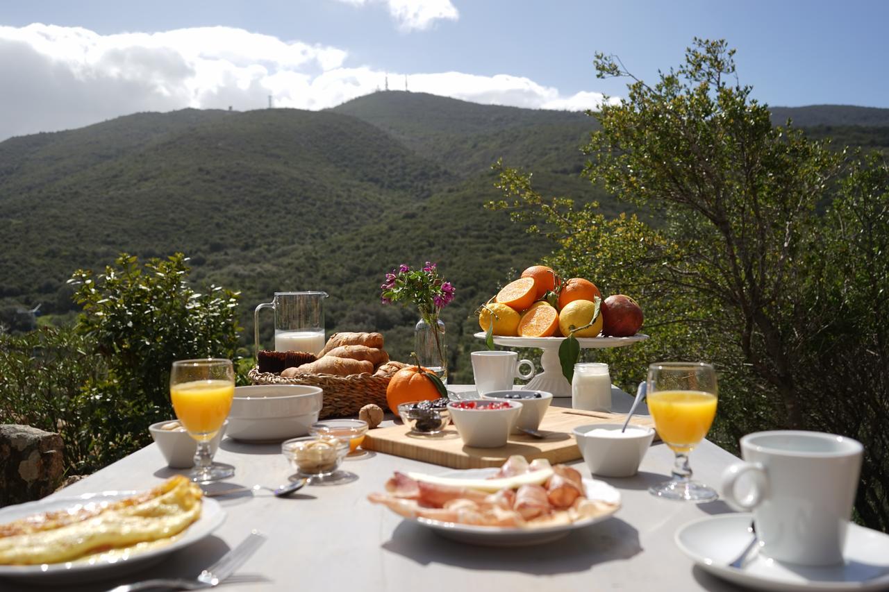 Casagliana Suite Resort Olbia Luaran gambar