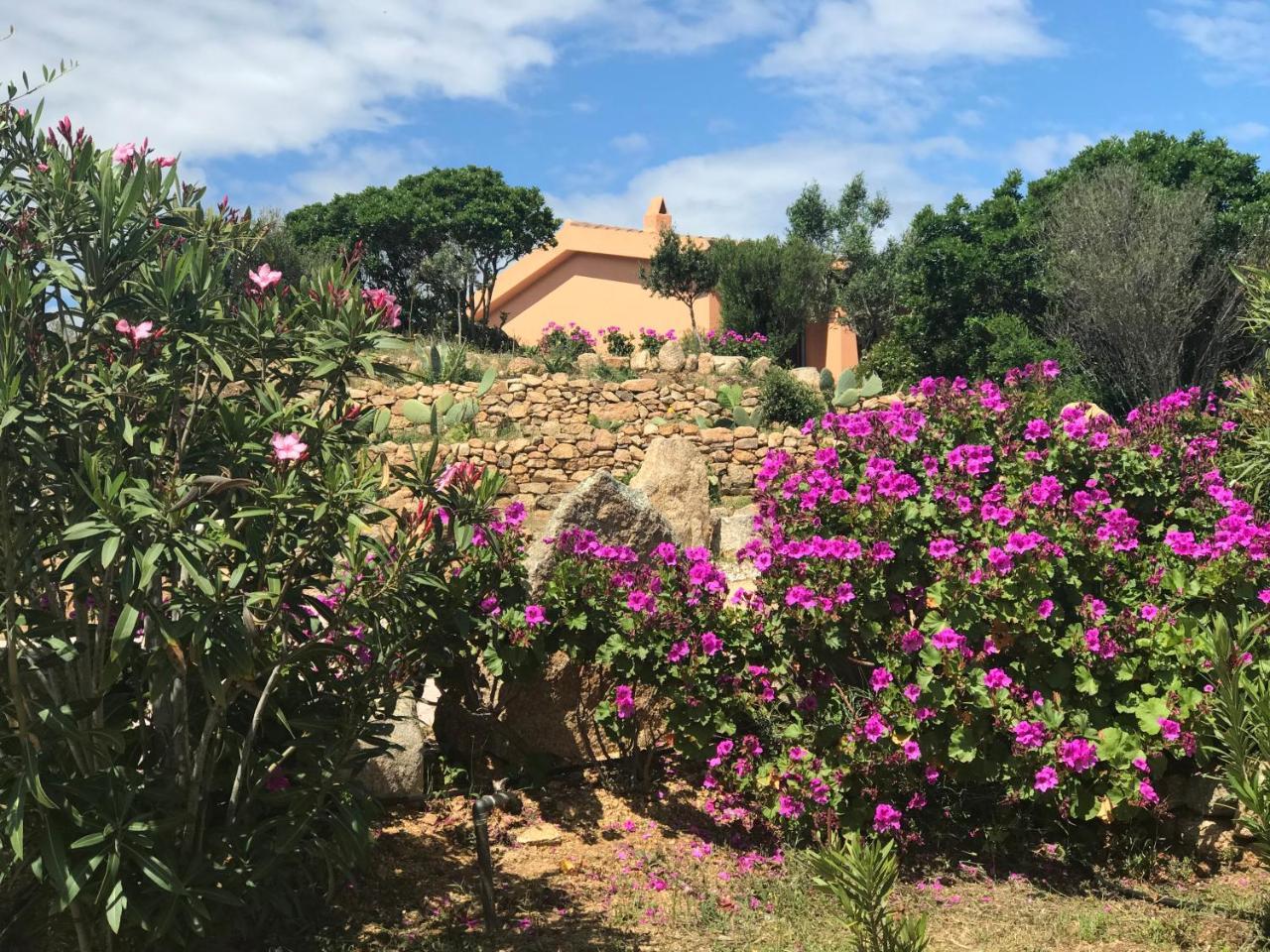 Casagliana Suite Resort Olbia Luaran gambar